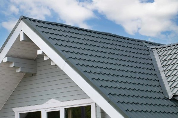Roof (4)